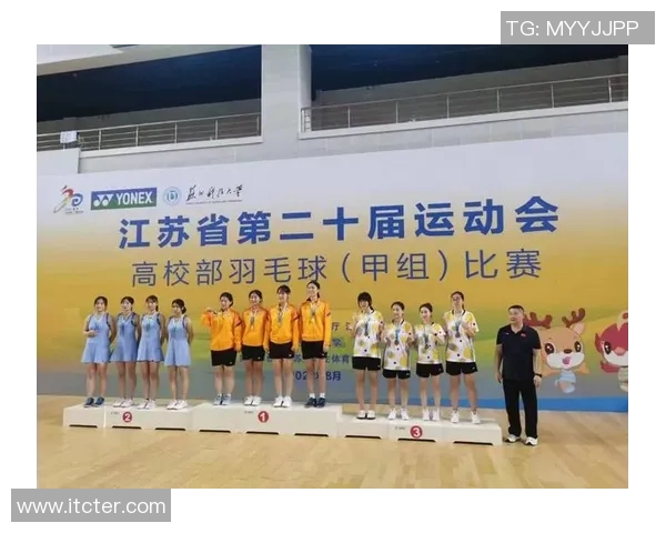 深圳羽毛球队技术表现分析与提升策略探讨